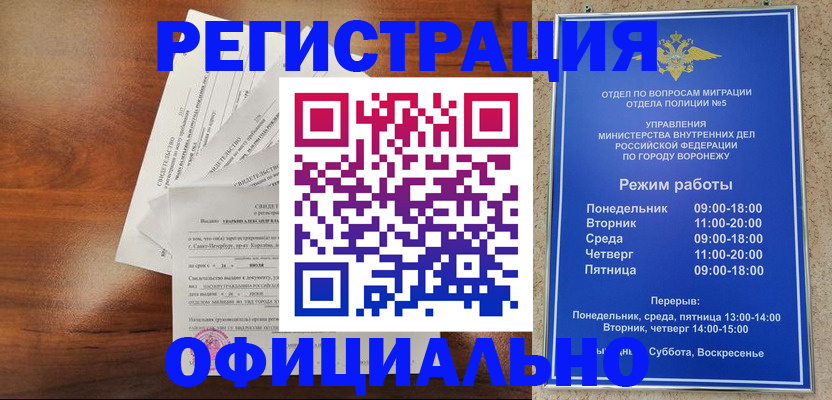 прописка поиск в Сураже